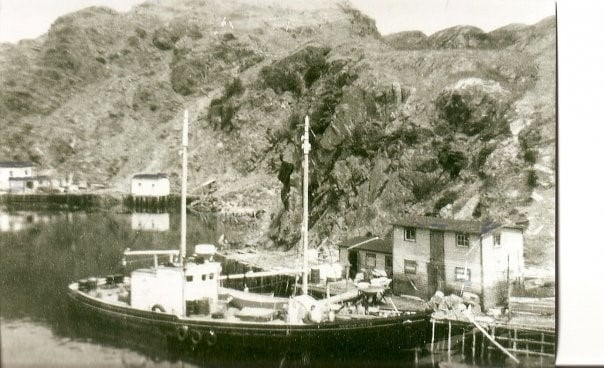 The Bertha Joyce II captained by Ray Berkshire, picking up salt fish at Lockyer's wharf. Credit: Maude Lockyer-Hollett
The Bertha Joyce II was built as the "Annetta Lovetta" at Hillview, Trinity Bay, Newfoundland by George Bennett of Port Aux Bras in 1935, 60 gross tons, official number 159657.&amp;nbsp;This vessel was purchased by Captain Ray Berkshire of Spencer's Cove in the early 60s and he changed the name to the Bertha Joyce. The Bertha Joyce was used as a freight and collector boat in Placentia Bay and continued that role when sold to Harry Wareham of St. John’s in 1972.&amp;nbsp;Later it was purchased by Tom Brewer of Southern Harbour (formerly of Davis Cove) and he changed the name to the Placentia Bay Queen and used it mostly as a tour boat.&amp;nbsp; It was scrapped at Fermeuse in the early 2000s.
&amp;nbsp;